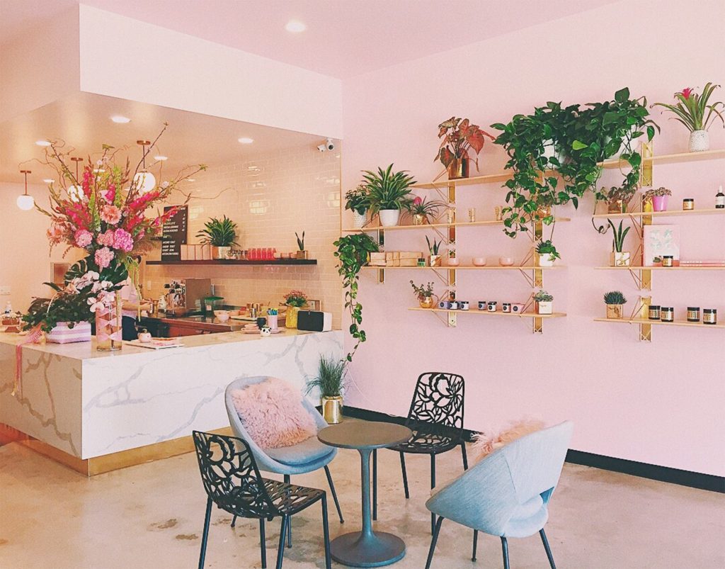 millenial pink home with plants along walls - photo by Storables