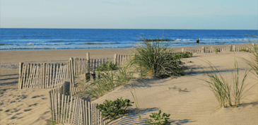 August Newsletter